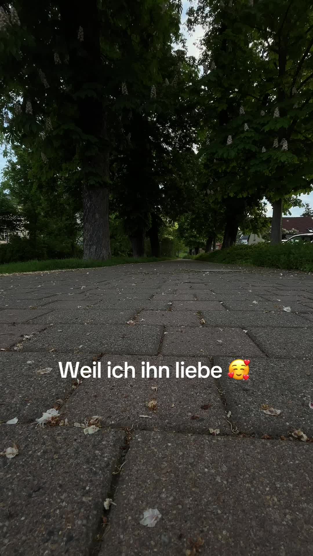 @🌼_Sonngirl_🌼