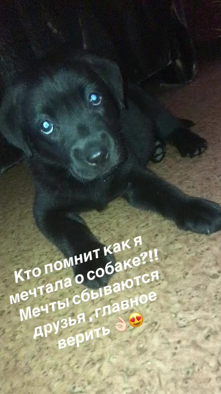 @Катюня