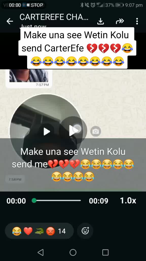 @😎Polo_Yolo_Media089😎