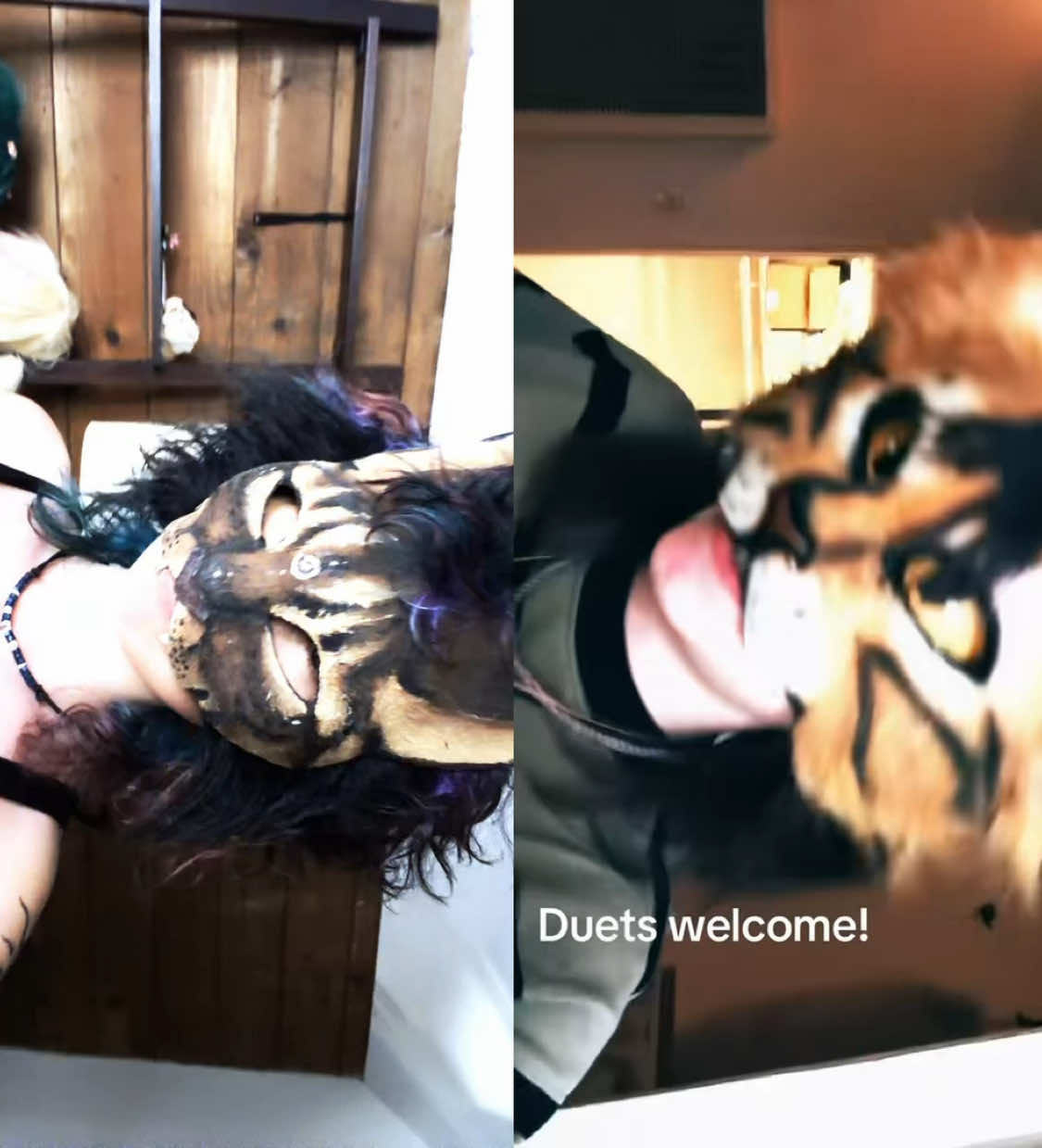 @Taz 🐺