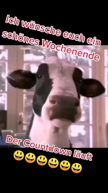@🐗Fr&auml;nkischer-Rampen- Eber🐗