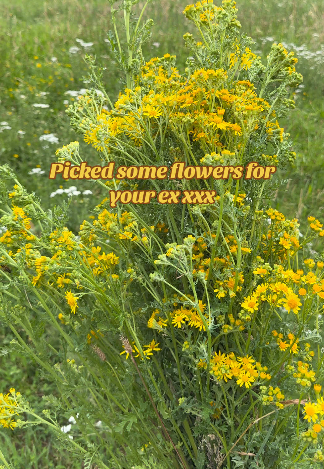 @Marijke🦋