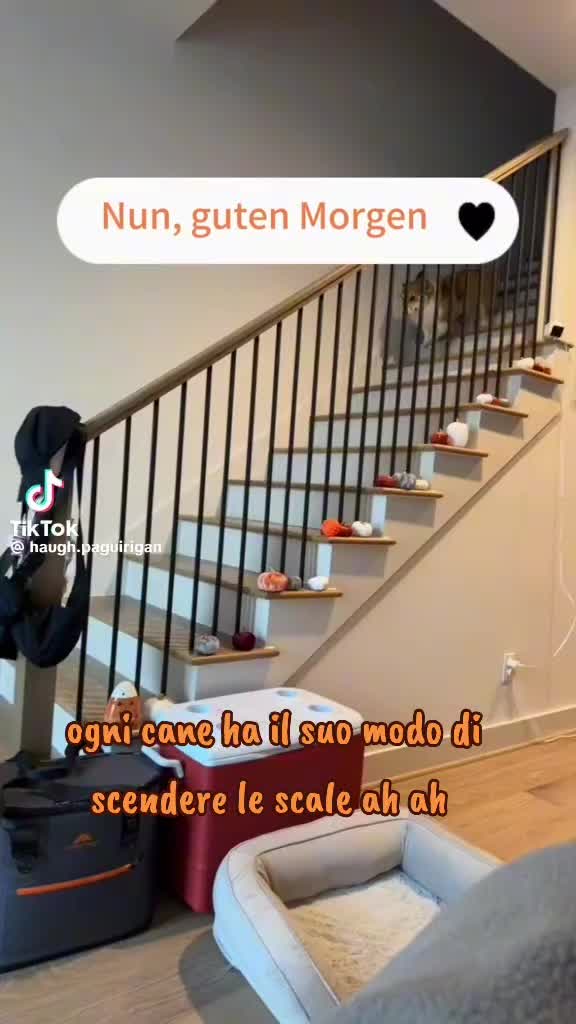 @Daniela Gioglio