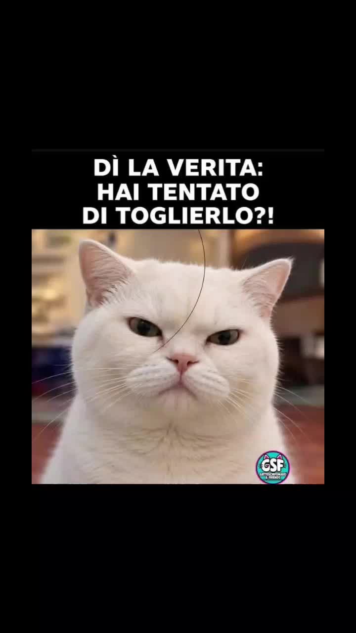 @Vedova Nera 🕷️2