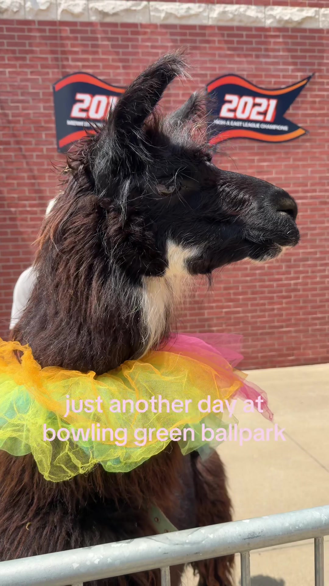 @BGHotRods