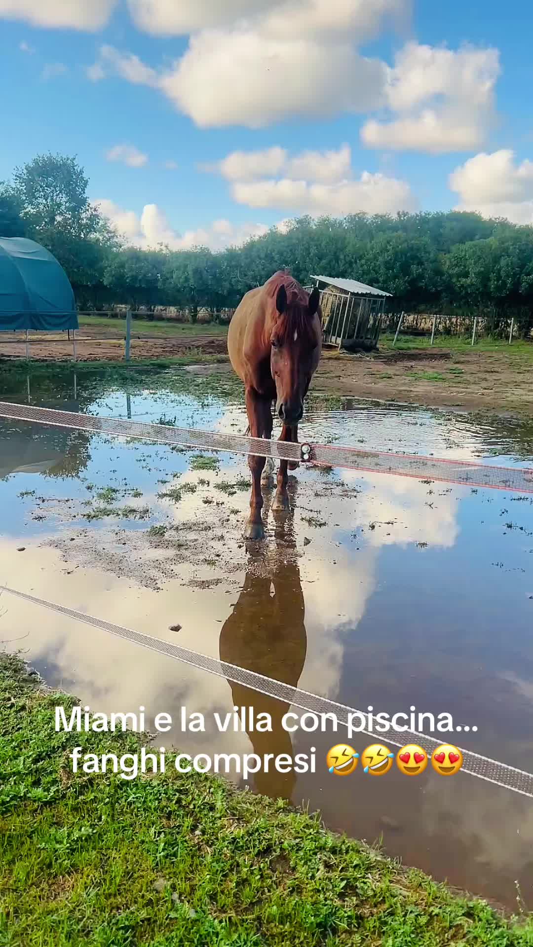 @danypan73