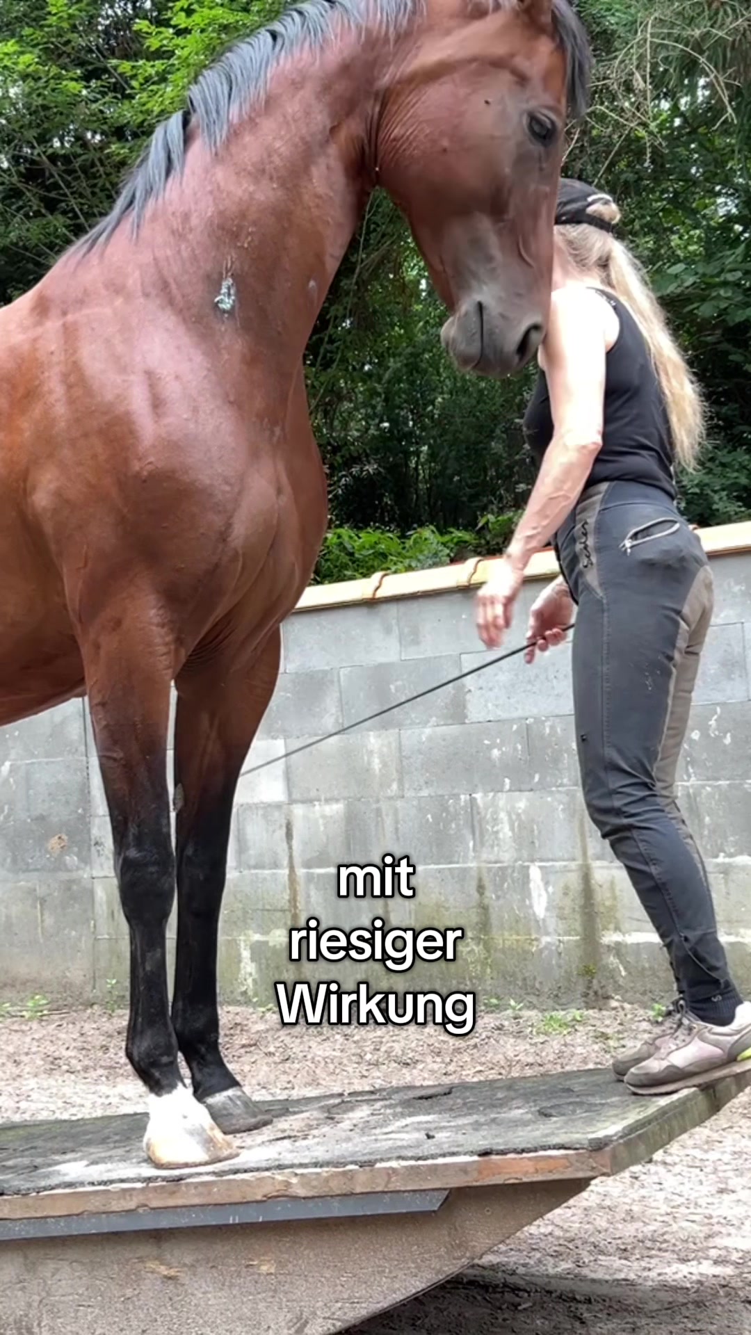 @Ani
