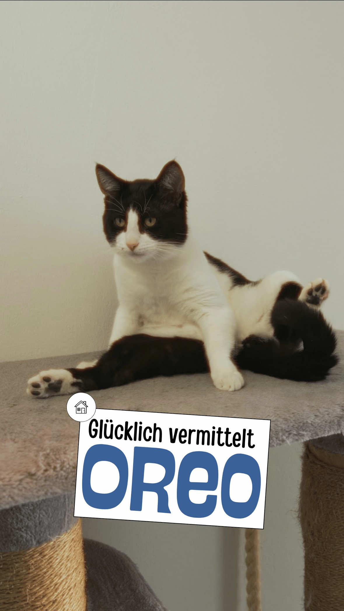 @Tierheim_Bremerhaven