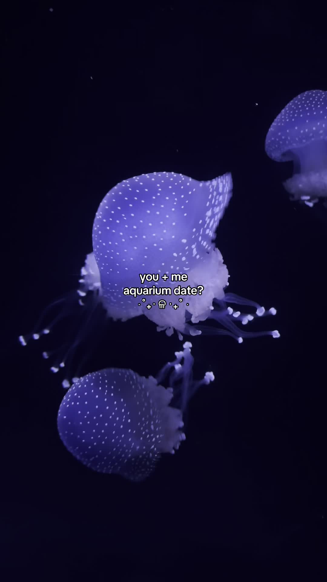 @mari 💎⁵ | saw taemin