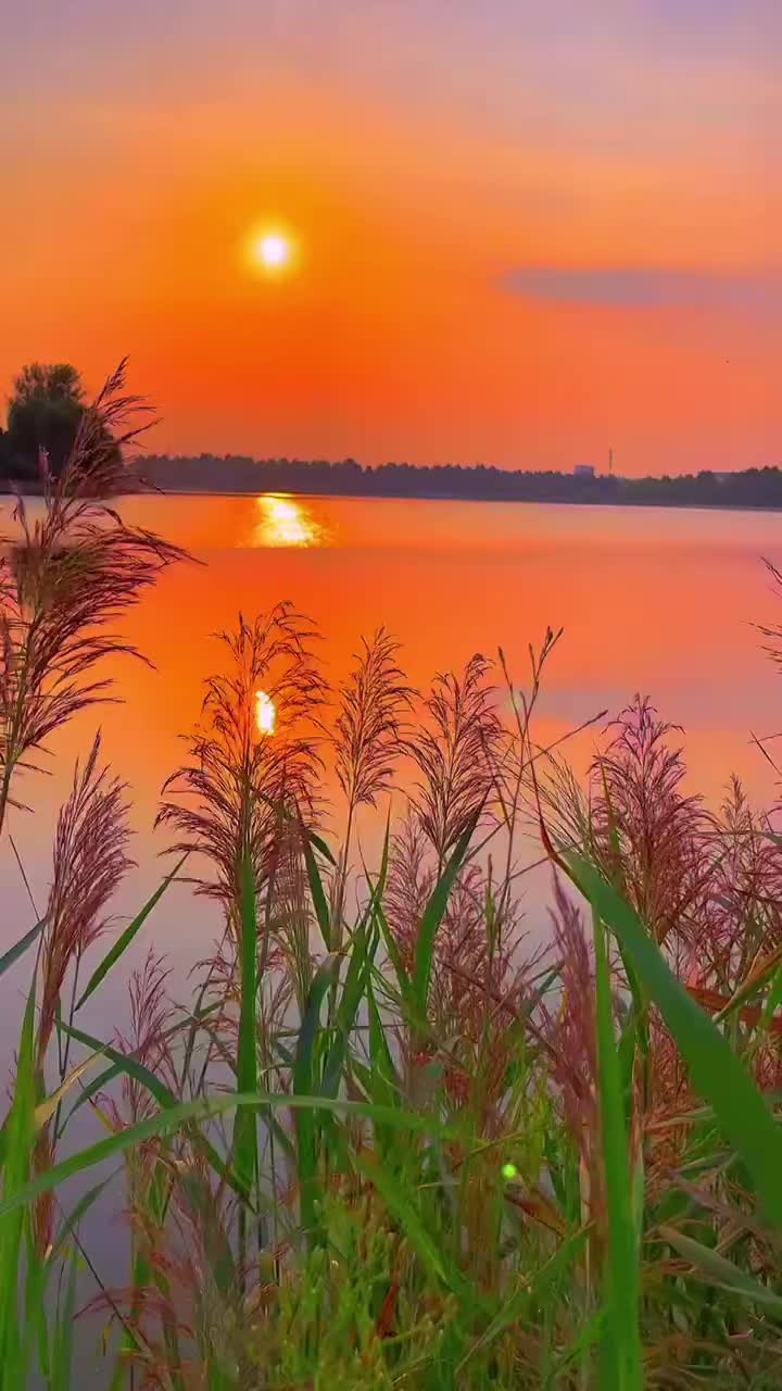 @Zindagi