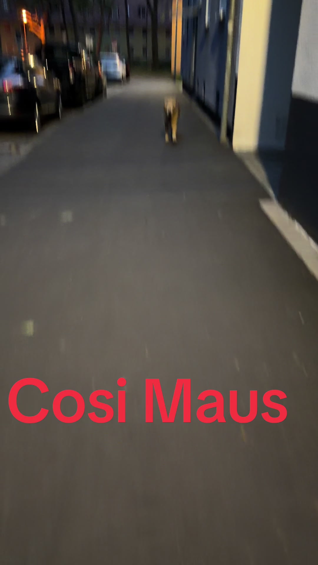 @Zehra Oplustil