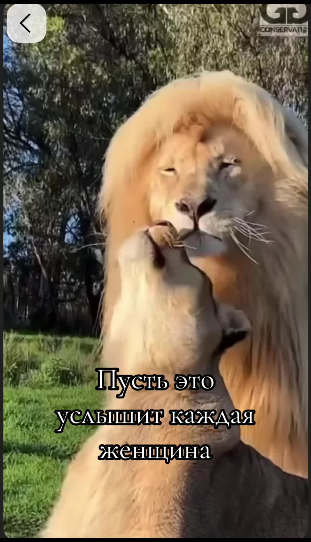 @🇩🇪ЛьВиЦа.Я🇰🇿VALENTINKA