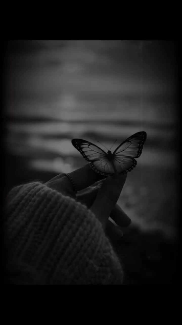 @🌹Barchinoy🌹