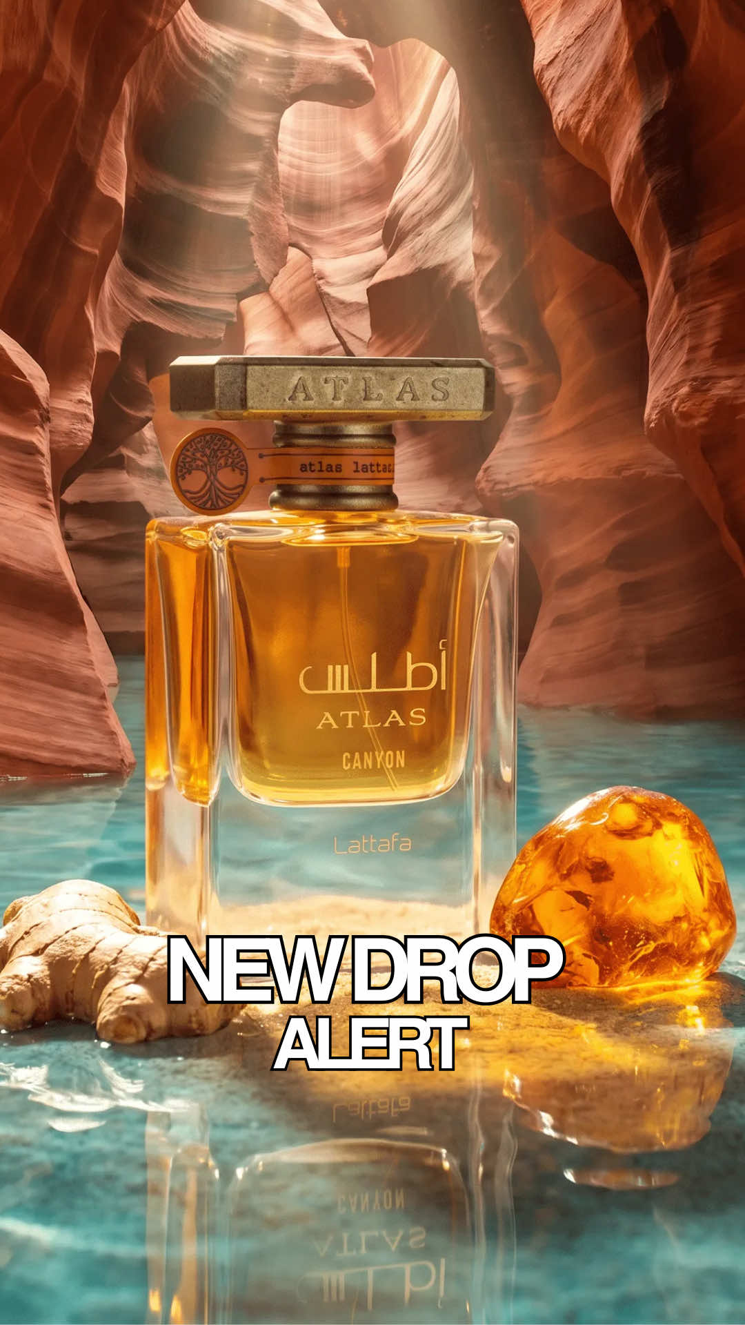@Dante | Fragrance Reviews