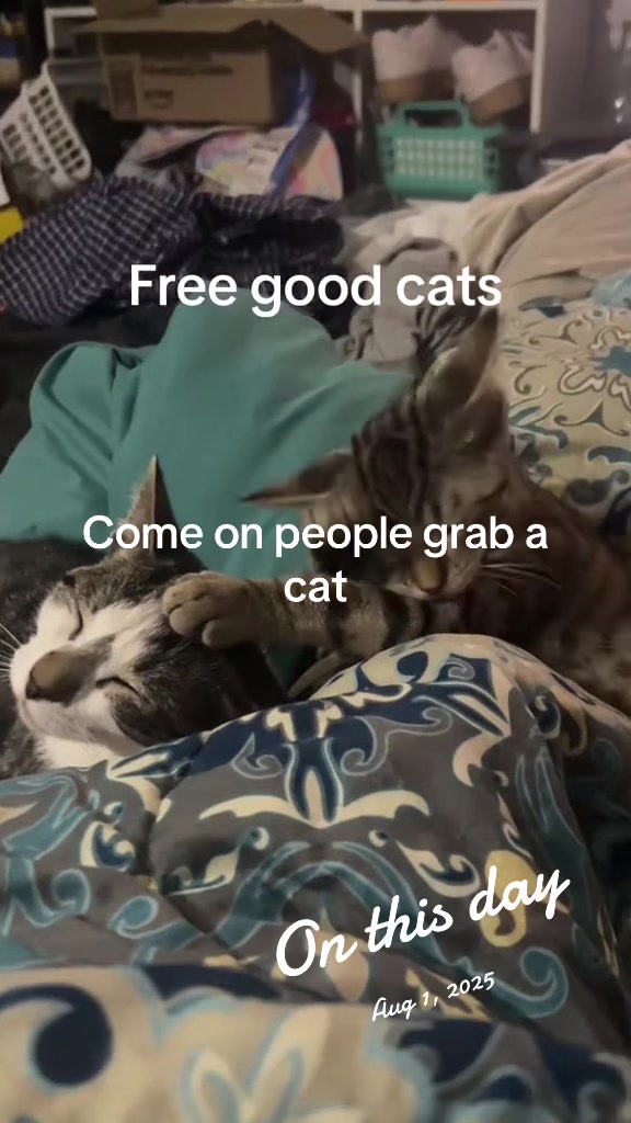 @PopRich336