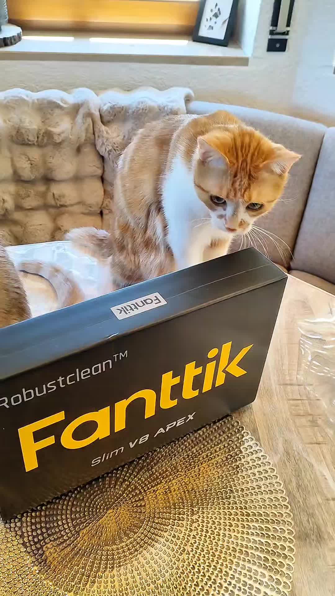@😻нⷩeͤjdͩiͥneͤ😻