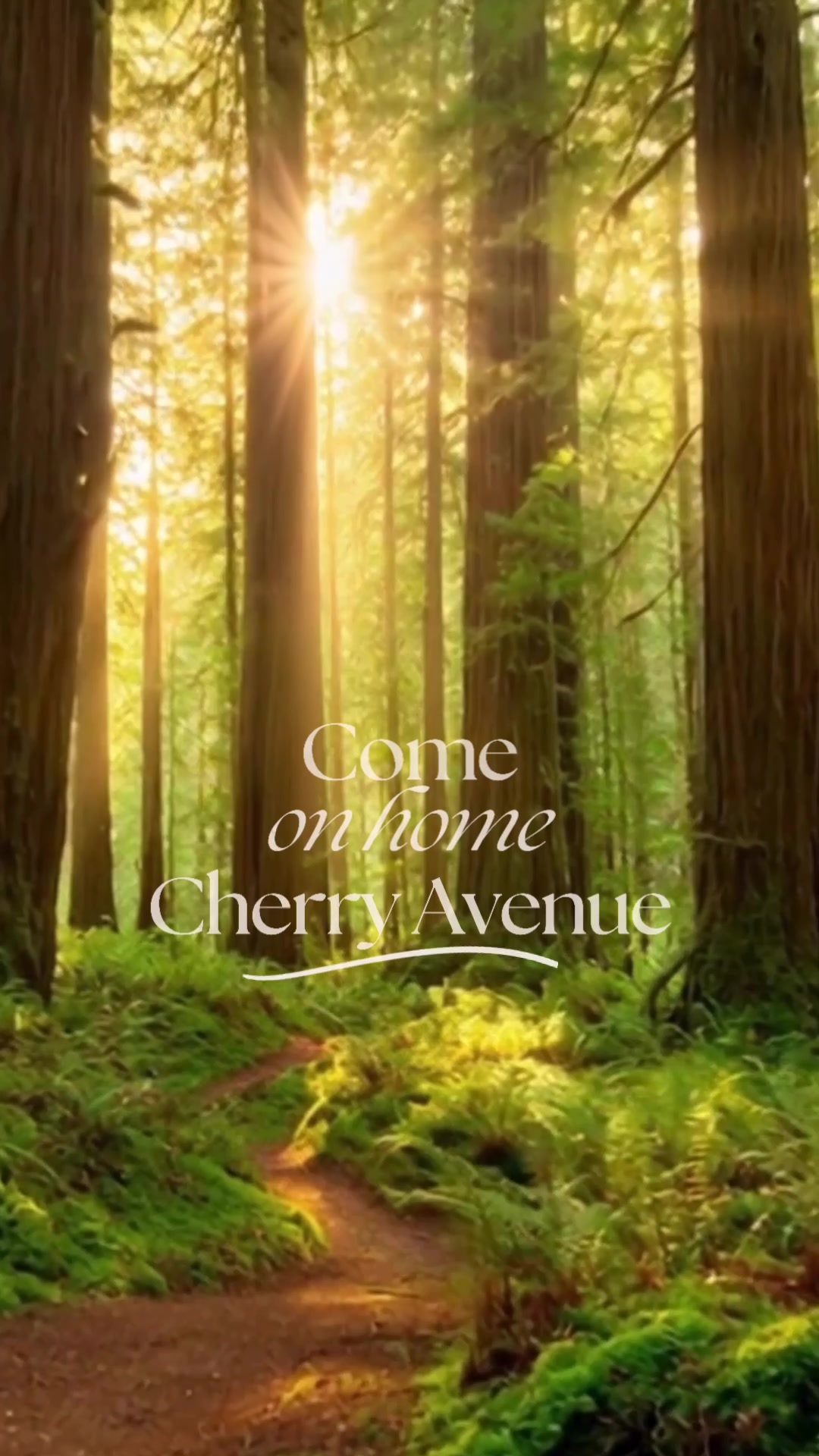 @Cherry Avenue
