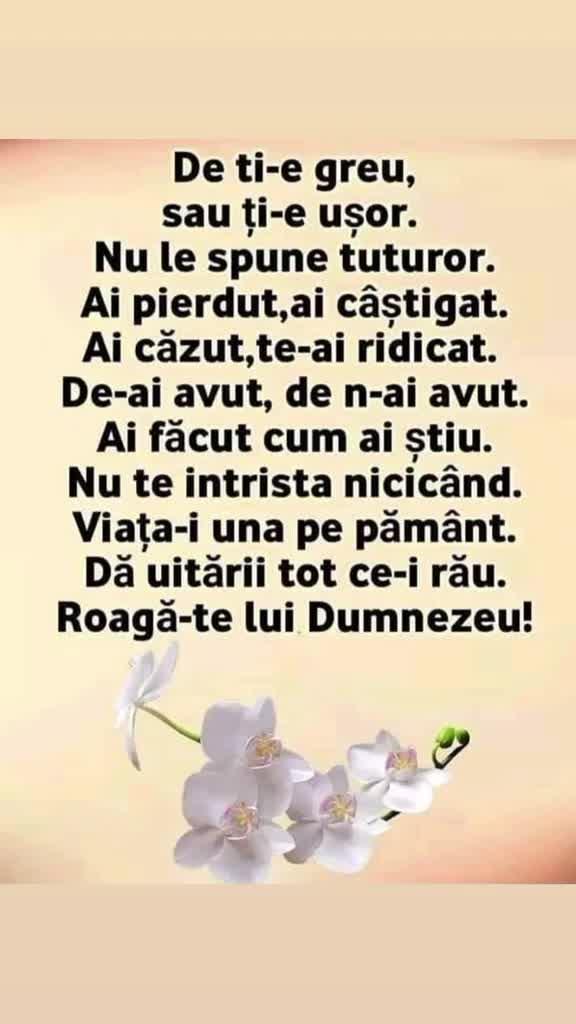 @Aleona Ghercavi