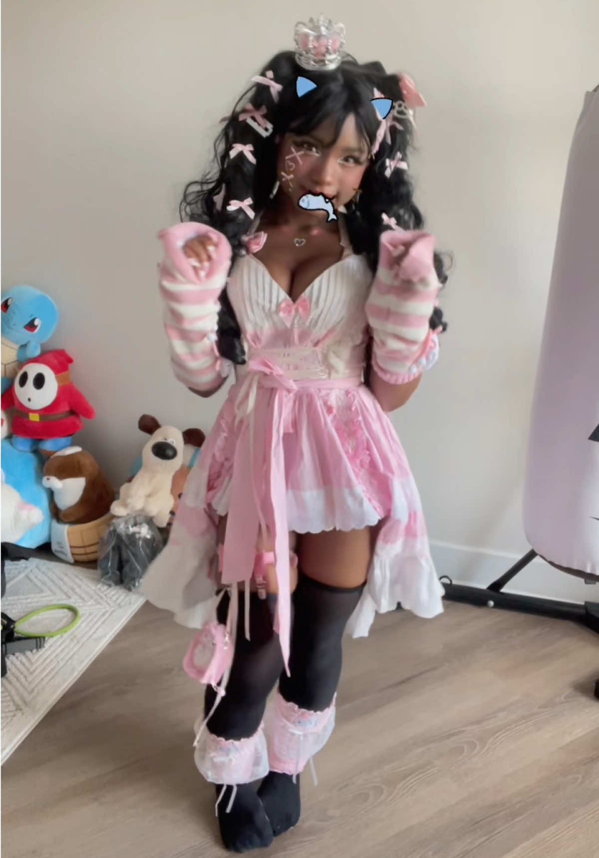 @insta:kittenholic