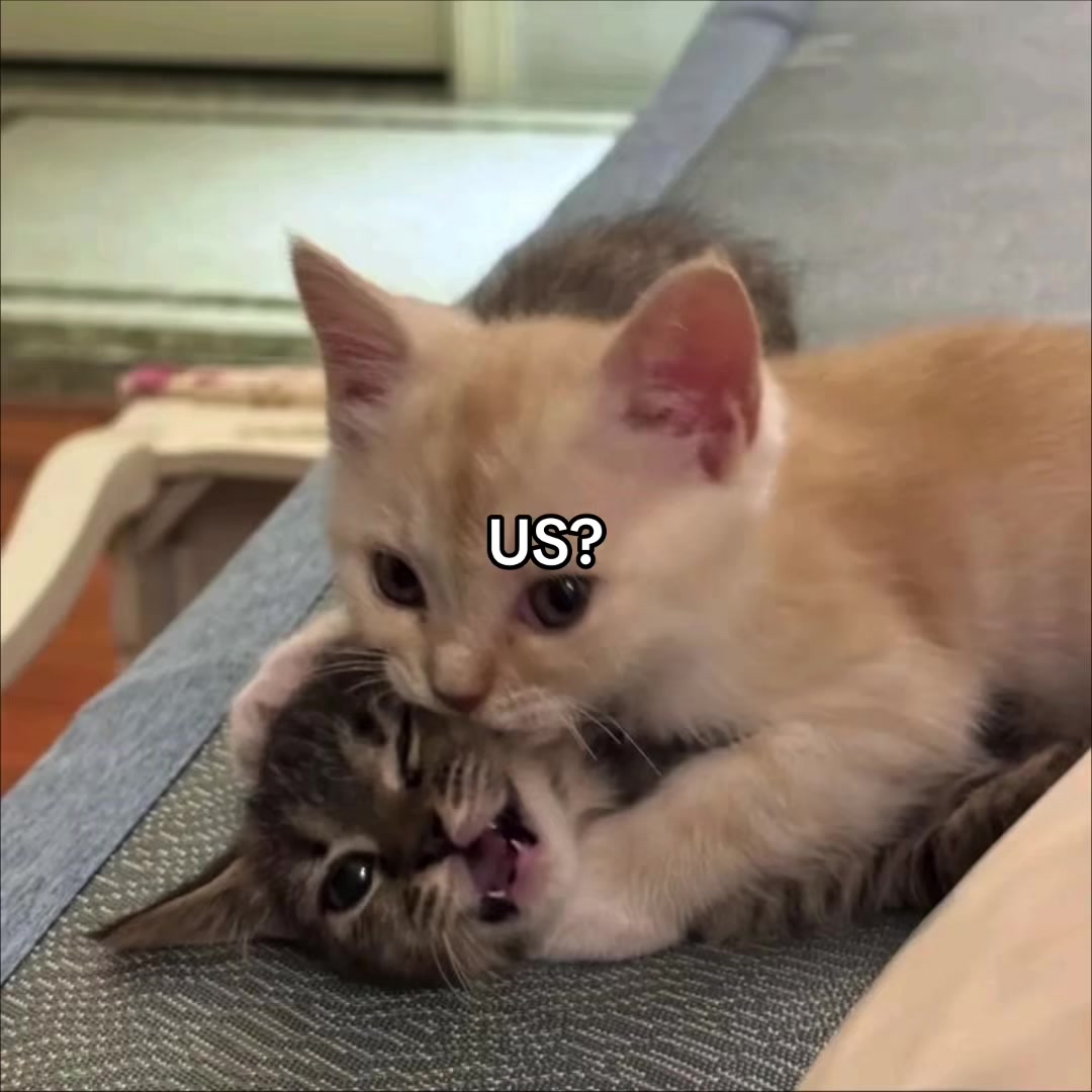 @deep.meow