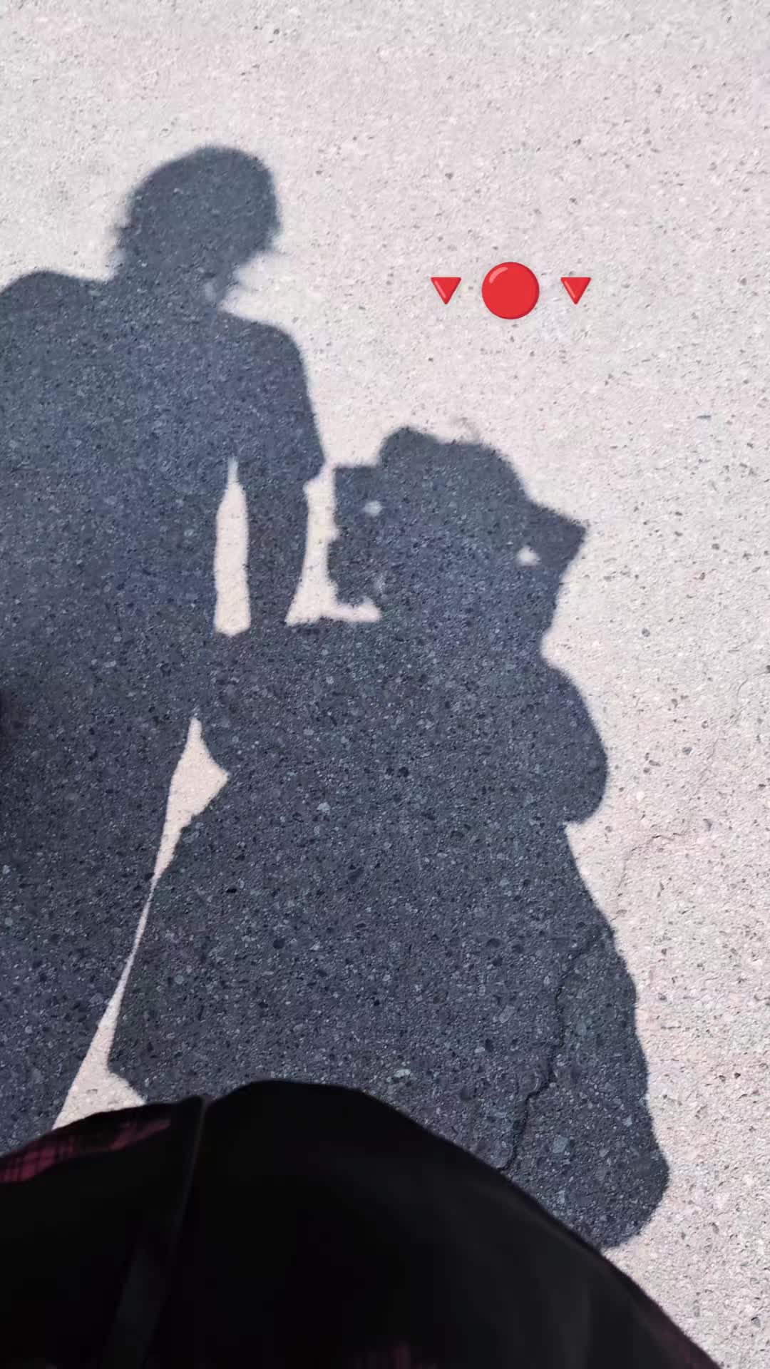 @Gwenny 🥖🪽