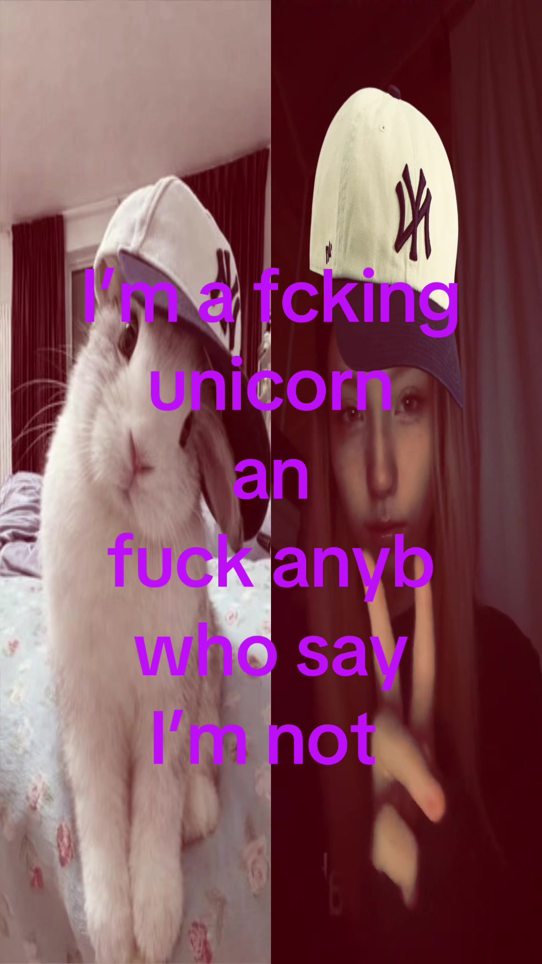 @&eth;&atilde;łǐł&atilde;ħ🕷️