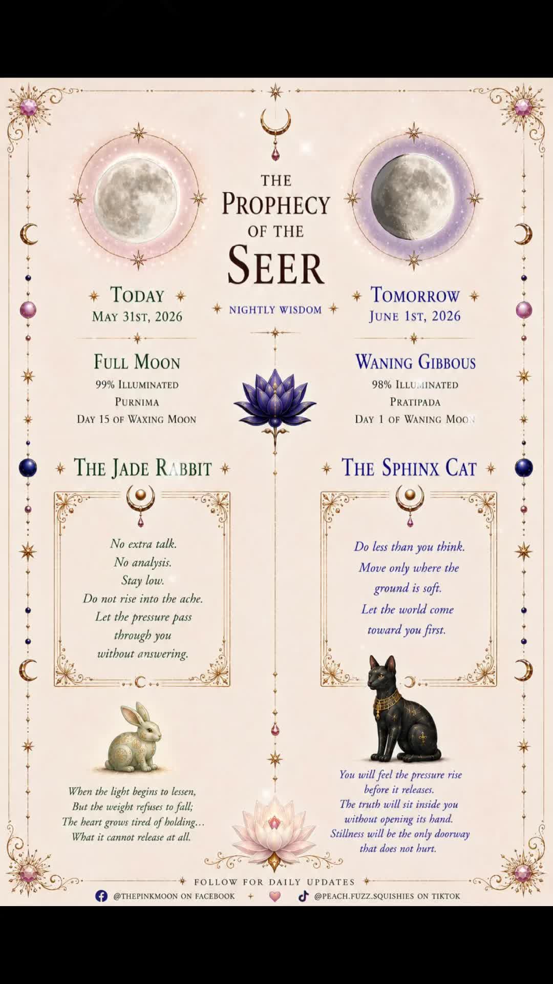 @Settled Waters⋆.ೃ࿔*:･⊹. Artist