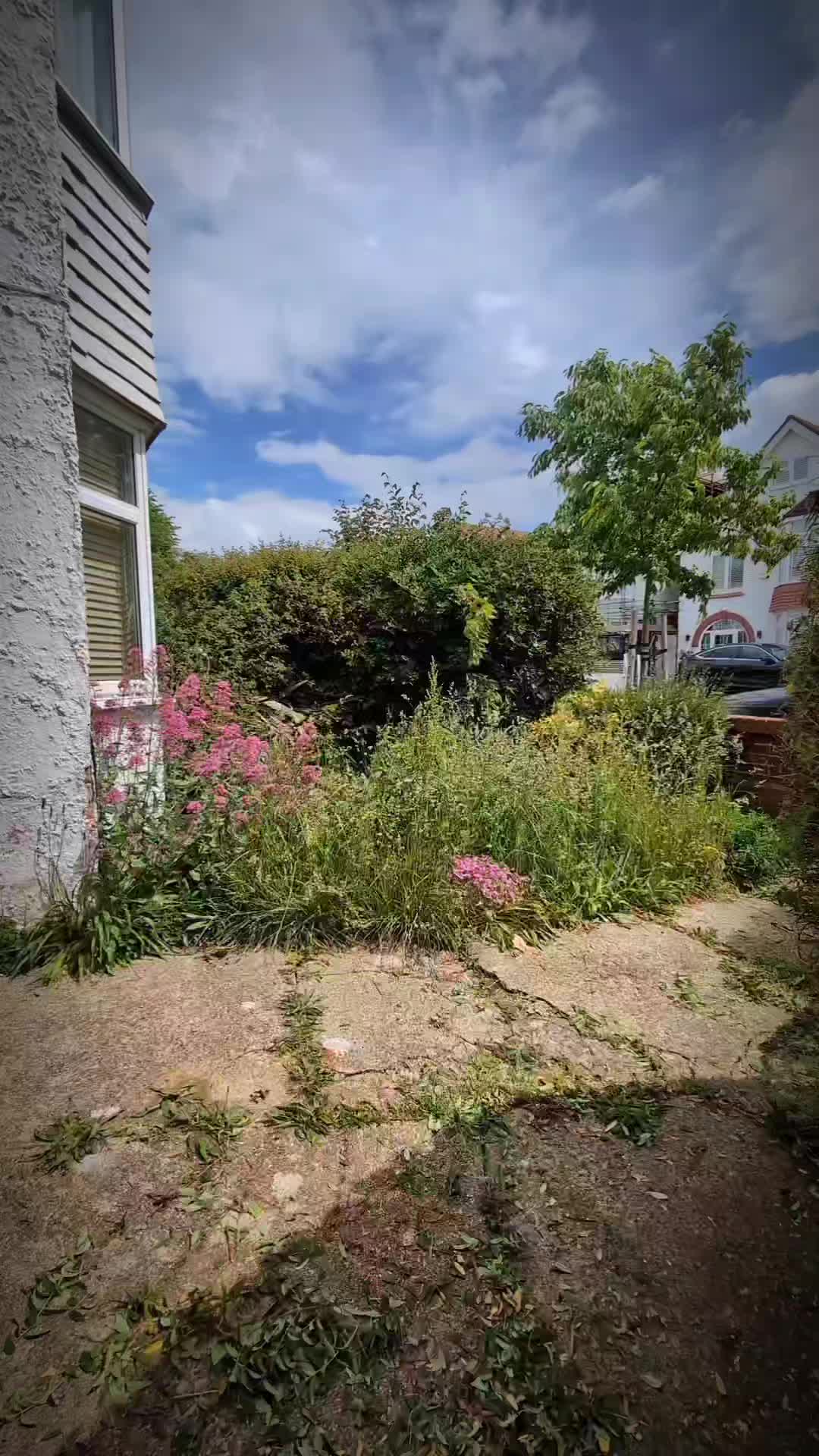 @Gary Hall Garden Services