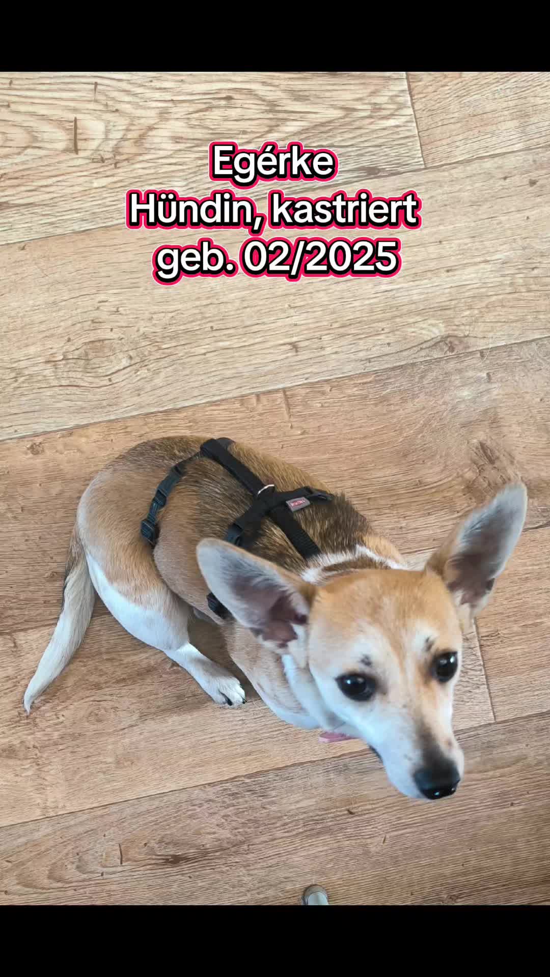 @Das Saarlandrudel
