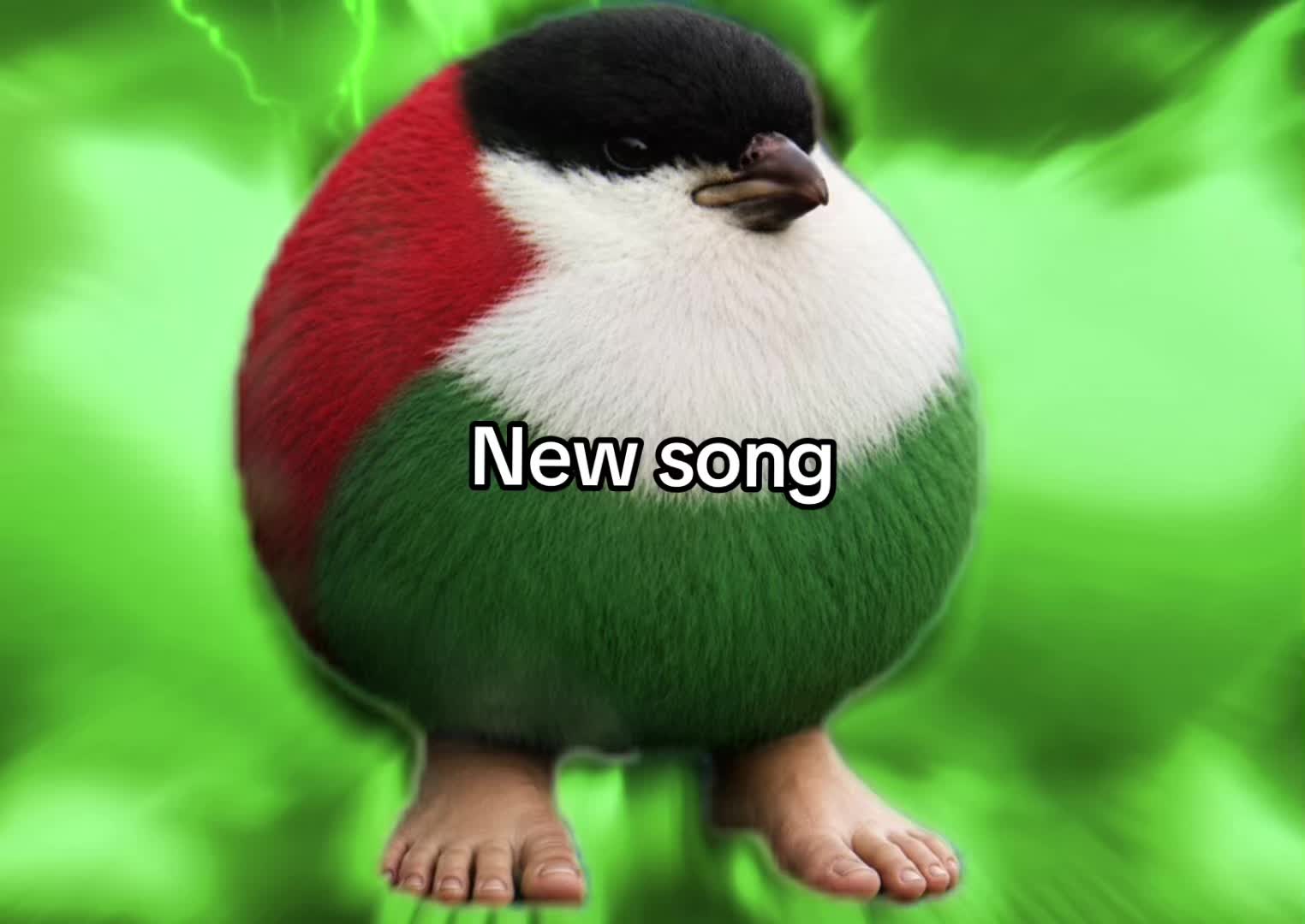 @Palestinian Texbird(with aura)