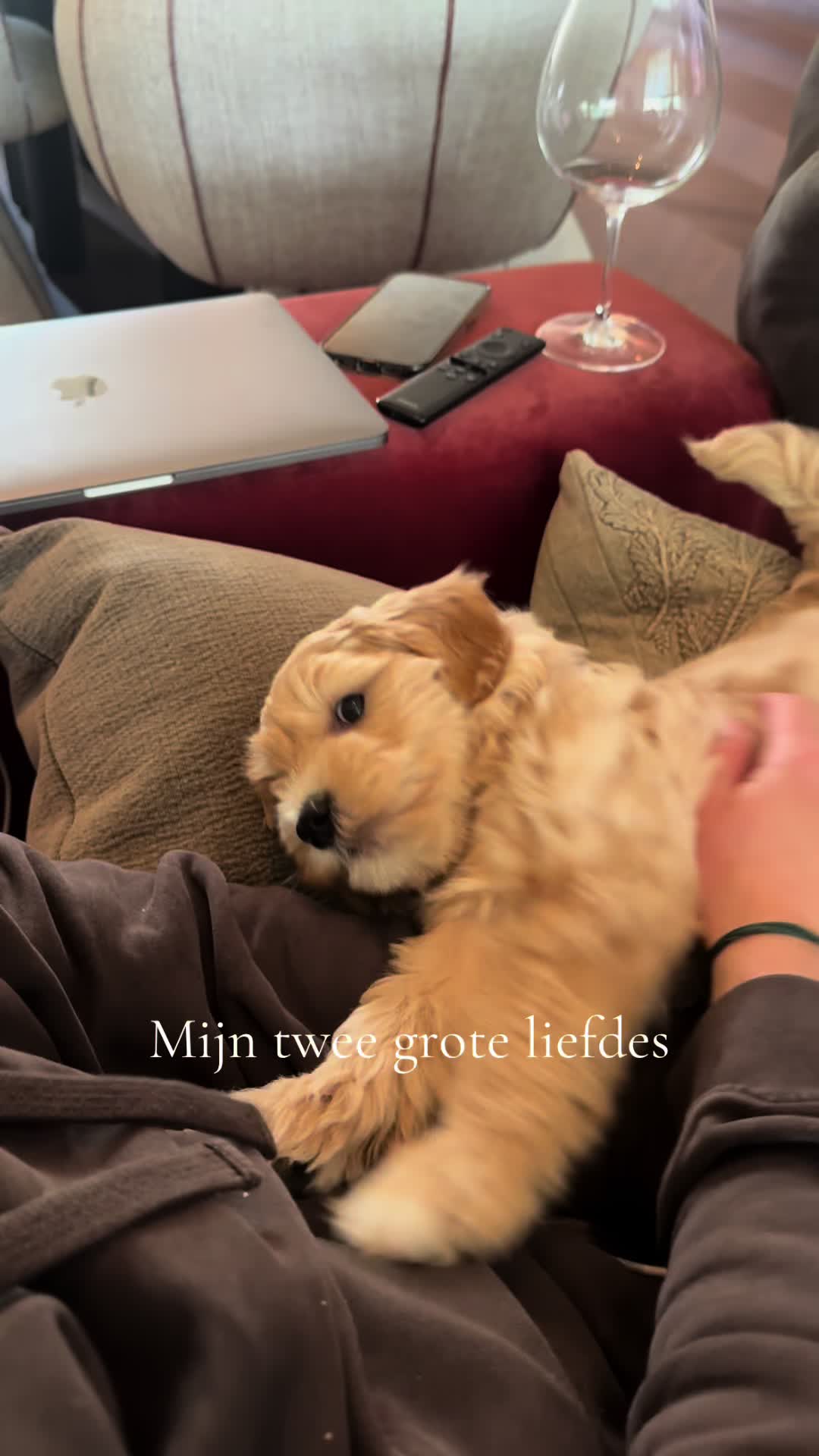 @Beryl van Drongelen