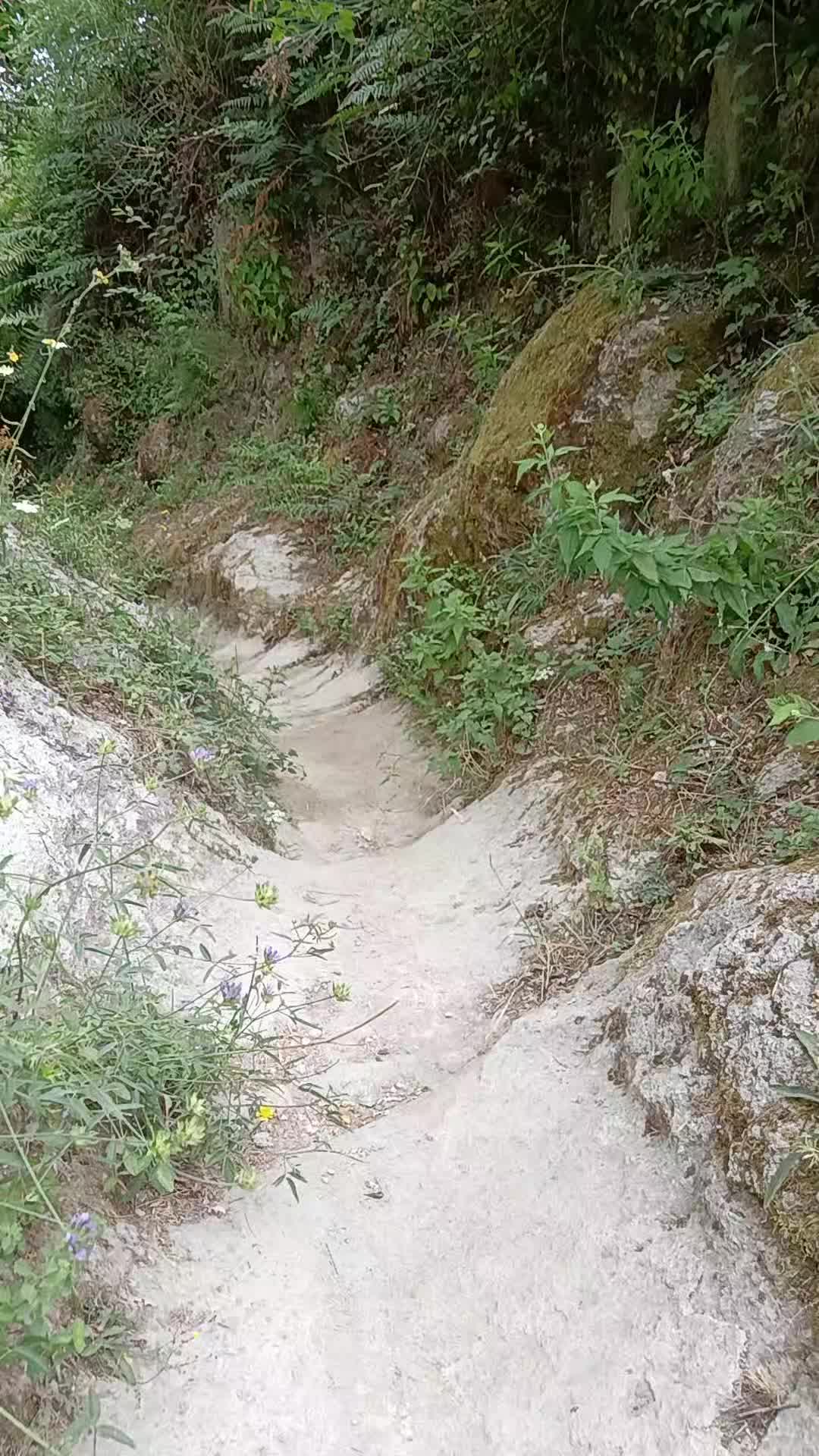 @stefano de Michino