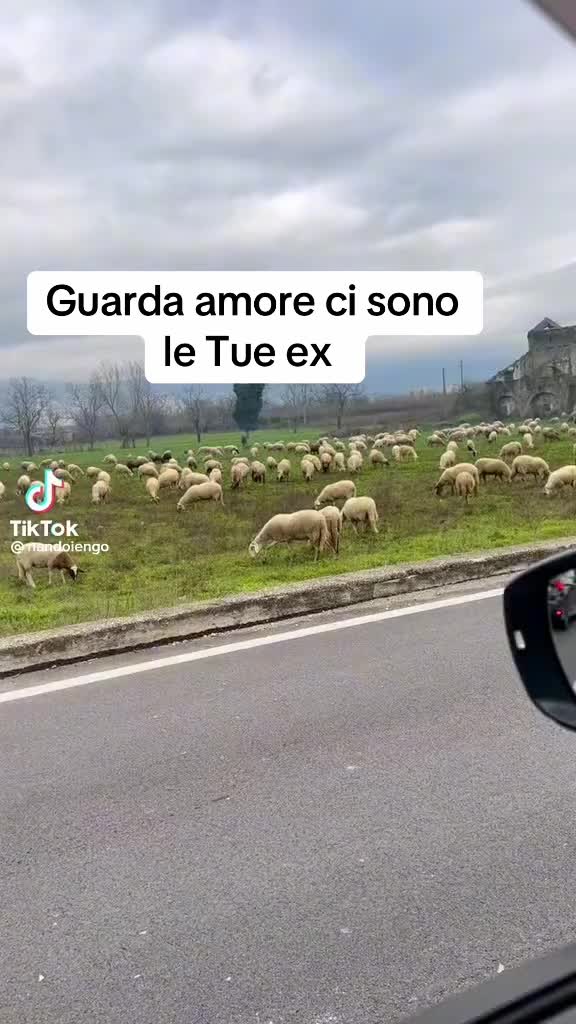 @Annalisa ❤️