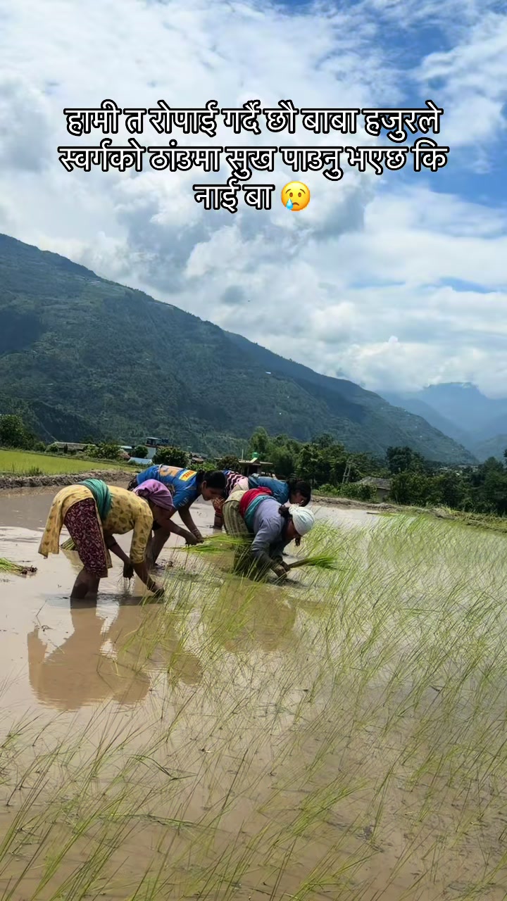 @Sarita Regmi