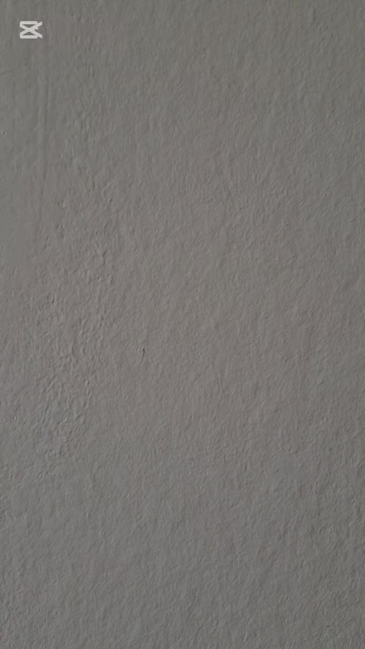 @veronica__________marino