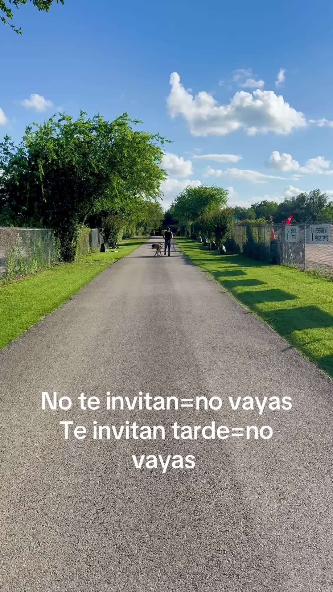 @Roy Maldonado