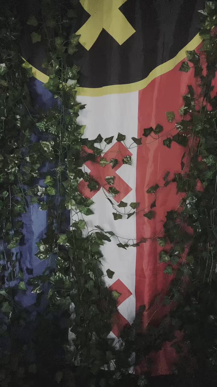 @lostintheforestcos🇵🇹🚦