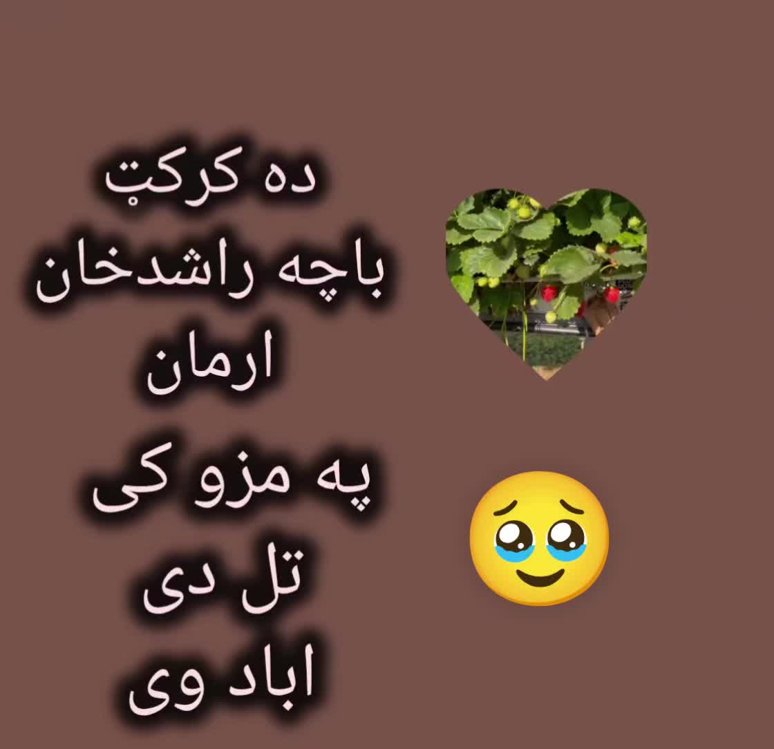 @R E H A N 19🫶💎🇦🇫