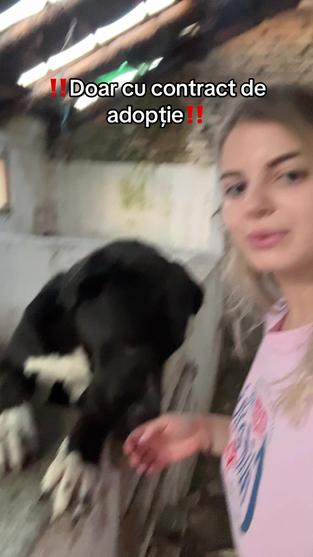 @simevalentina