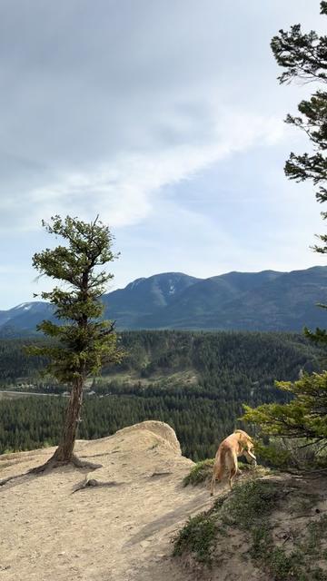 @WanderWoman