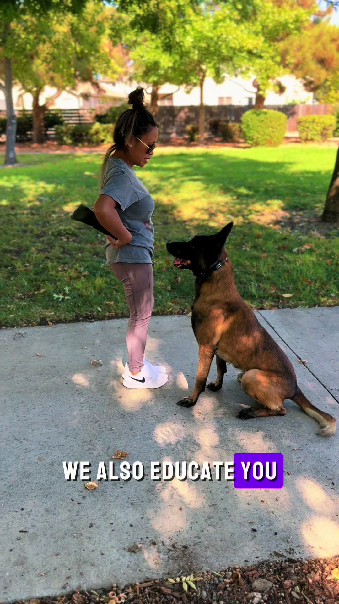 @Tactical K9s Dog Training