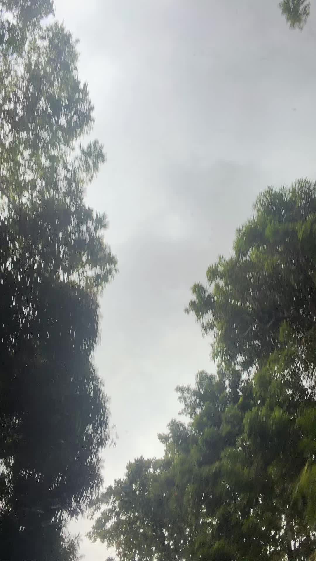 @Paratiwithlove
