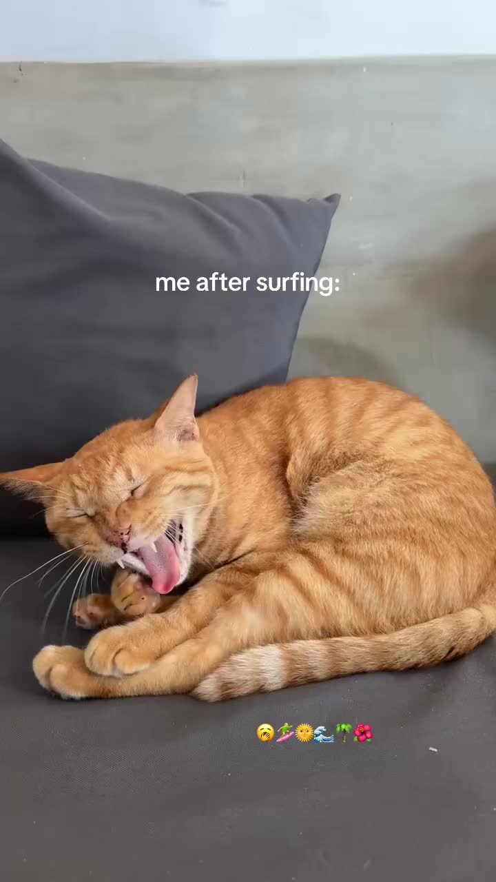 @Lea.mester