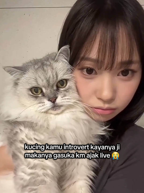 @hanjihyo.fangirl