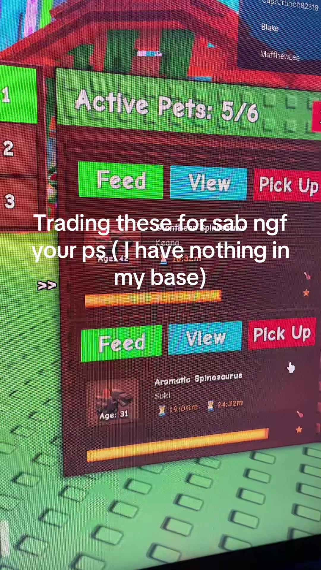 @Gag_trader