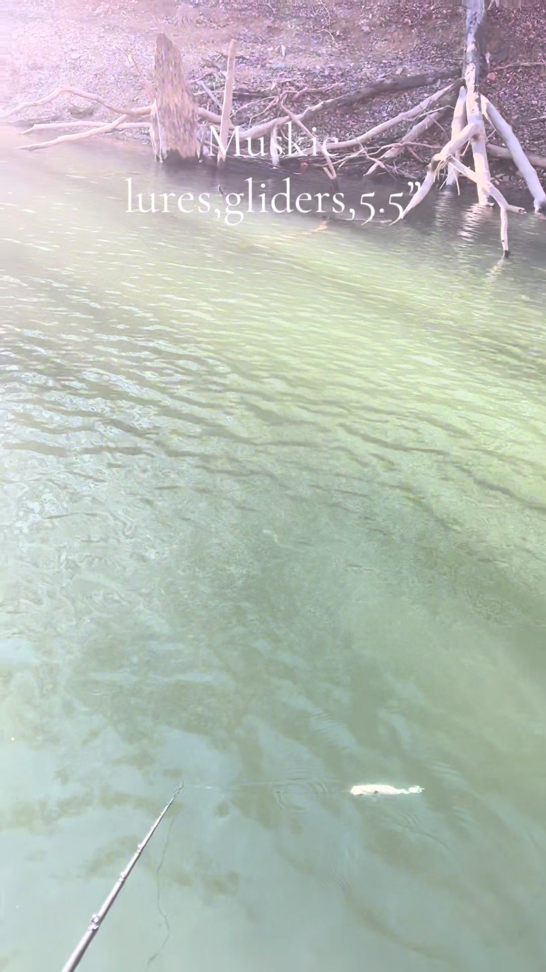 @JW Lures