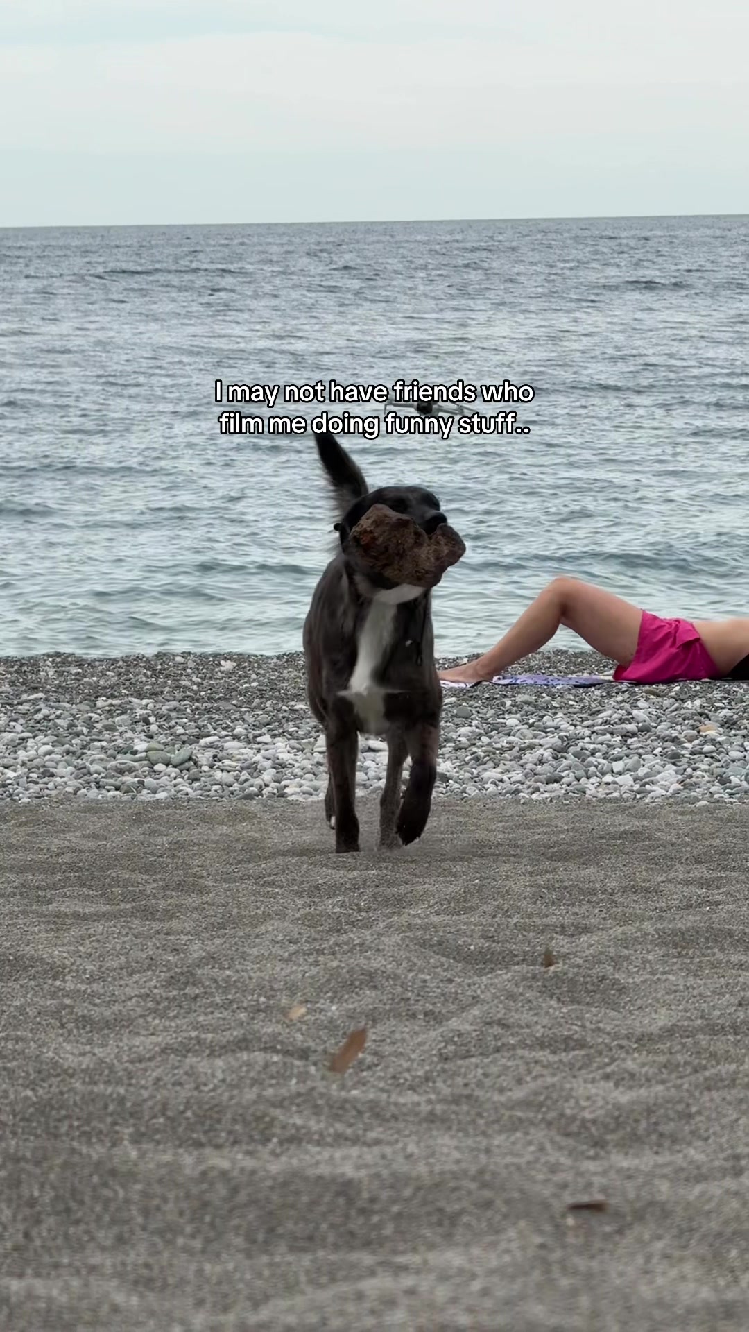 @girlwith.thecatahoula