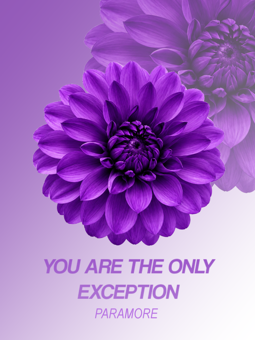 @❀𝘾𝙝𝙧𝙞𝙭𝙩𝙚𝙡