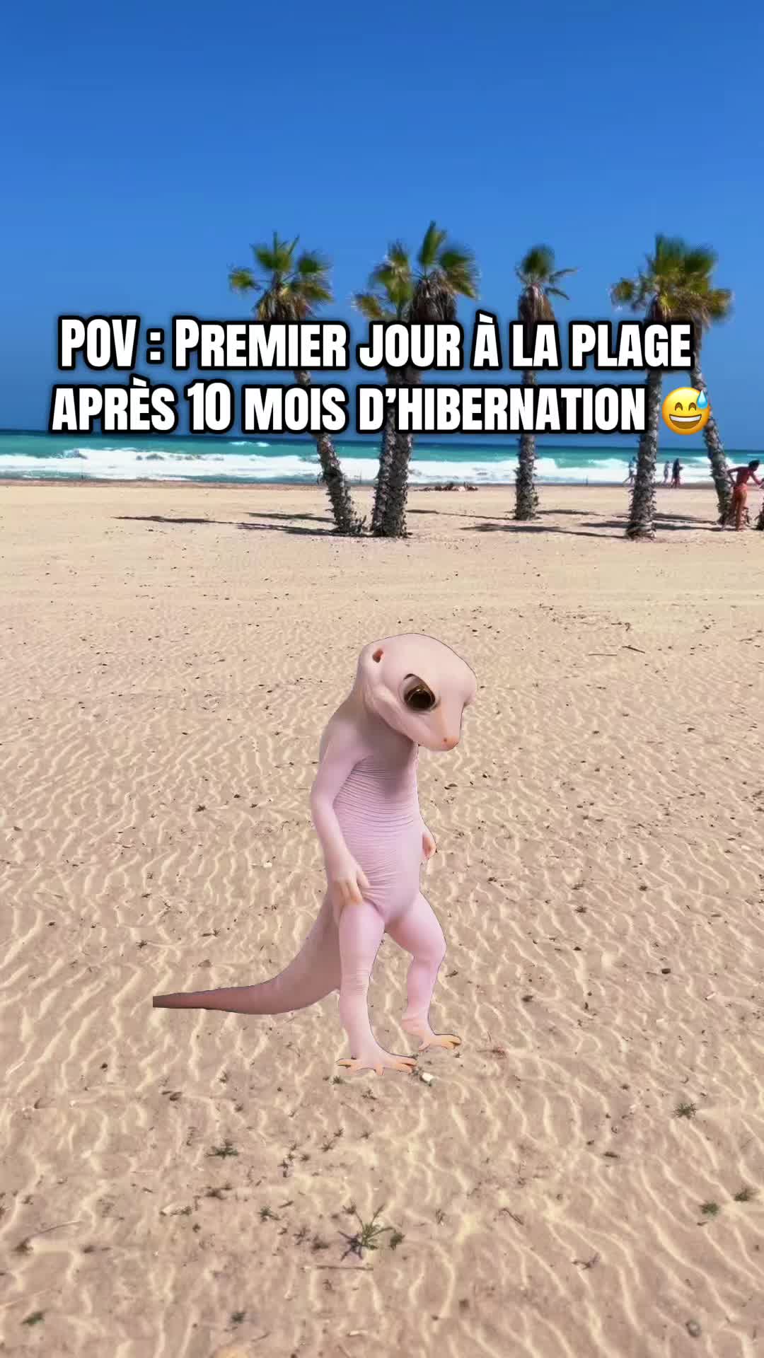 @VÉLÏØR