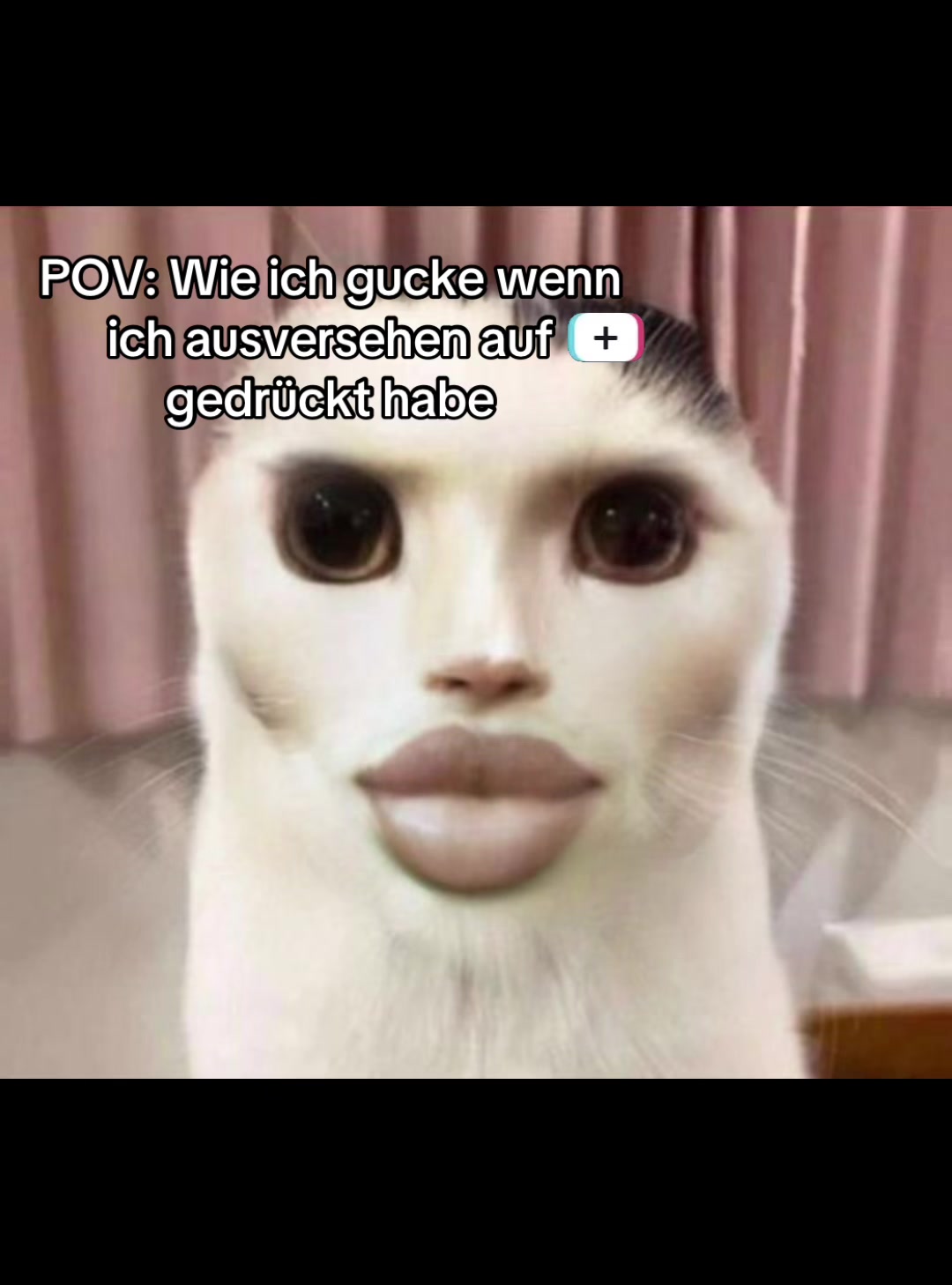 @Dxstin